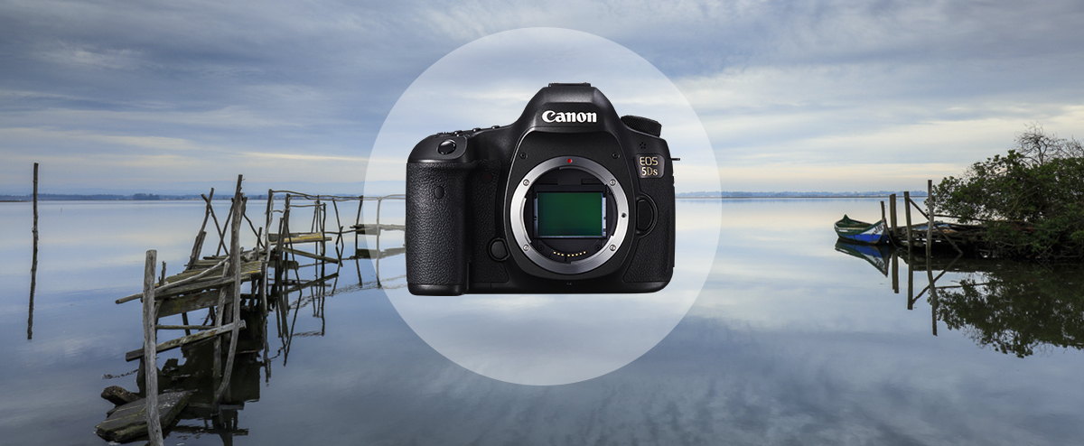 Uitmaken item Tussen Canon EOS 5DS - EOS Digital SLR and Compact System Cameras - Canon Nederland